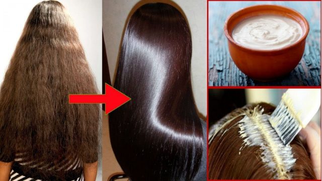 وصفات سحرية لتنعيم الشعر الجاف والمجعد في أسبوع واحد سيصبح شعرك كالهنديات